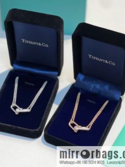 Tiffany & co. full diamond double chain ring necklace
