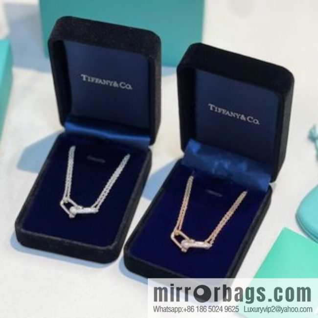 Tiffany & co. full diamond double chain ring necklace