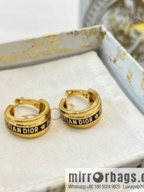 New ☑️ DIOR Dior letter earrings