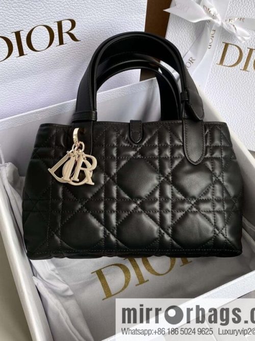 Small DIOR TOUJOURS handbag M2822OSHJ_M900