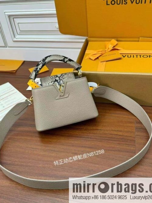 LV N81258 CAPUCINES mini handbag