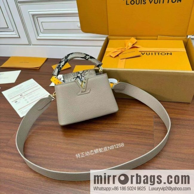 LV N81258 CAPUCINES mini handbag