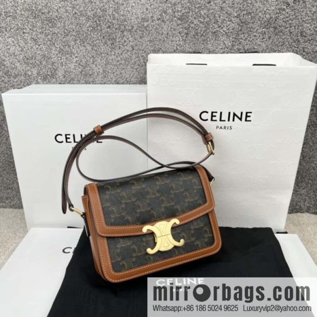 CELINE TRIOMPHE Canvas and calfskin small handbag 188882