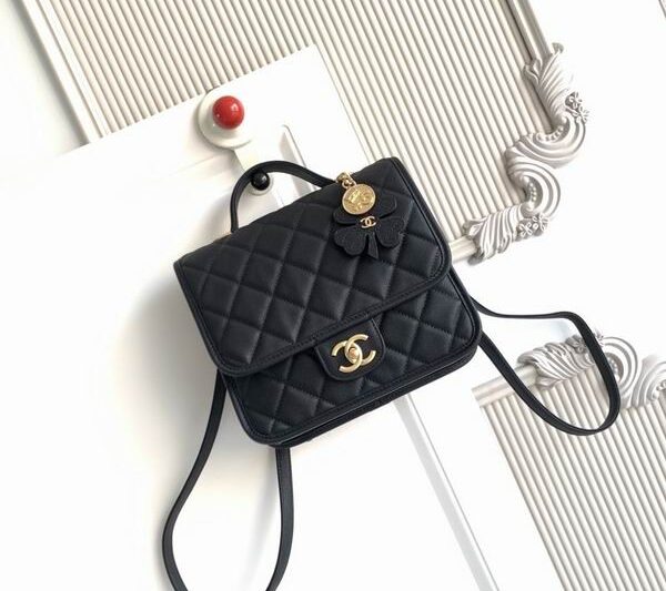 Replica Chanel Bags AS3653 16.5x25x8.5cm XZ